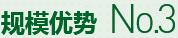 購(gòu)買(mǎi)蔬菜種子，鼎牌優(yōu)勢(shì)三